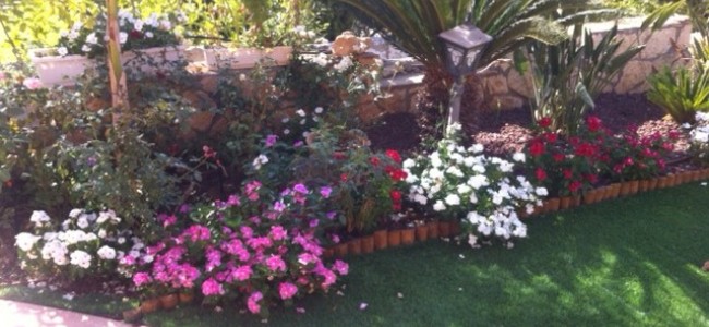 דשא סינטטי בגינה